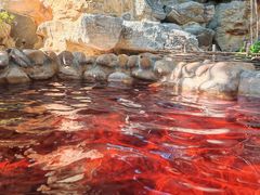 -深业半汤御泉庄温泉
