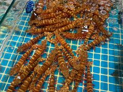 -三亚火车头万人海鲜广场