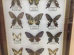 -下渚湖国家湿地公园科普馆