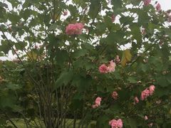 -杭州城北体育公园