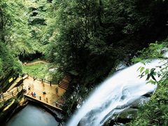 -碧峰峡风景区