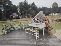 -铁山坪森林公园