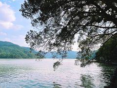 -严子陵钓台(富春江小三峡)