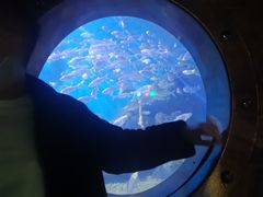 -蓬莱欧乐堡海洋极地世界
