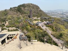 -牛首山文化旅游区