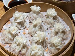 -老阿妈蒙古村·蒙古包·草原文化·歌舞表演(老君堂店)