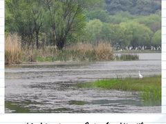 -长广溪湿地公园