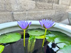 -西安市广仁寺
