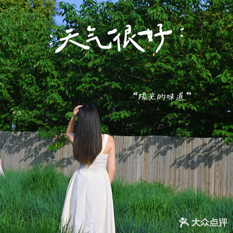 在花园里吃烤肉是一种什么体验呢⁉️  