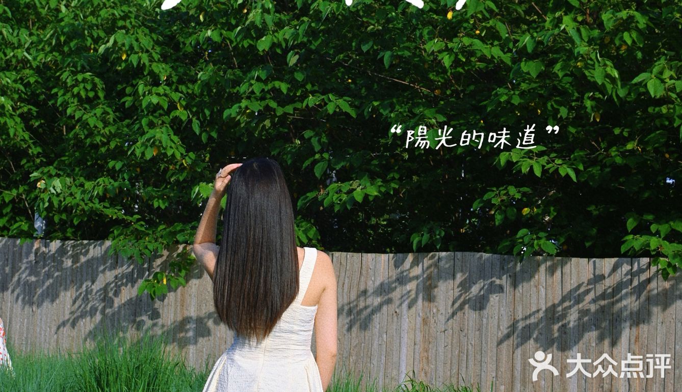 在花园里吃烤肉是一种什么体验呢⁉️  