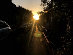 -Tubestation站点比萨(五道营店)