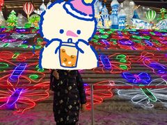 -沈阳奥体冰雪嘉年华