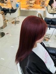 -东方麒麟·潘多拉SALON