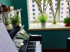 -圣典成人钢琴俱乐部(国贸旗舰校区)