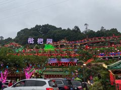 -枇杷园食为鲜火锅(南山店)