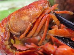 -小板凳(四公里店)