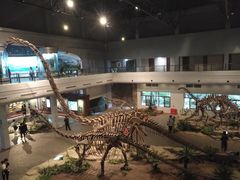 -自贡恐龙博物馆