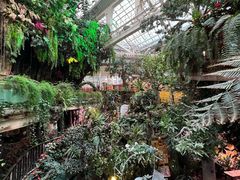 -正佳雨林生态植物园