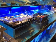 水产区-喜庭海鲜自助(来福士店)