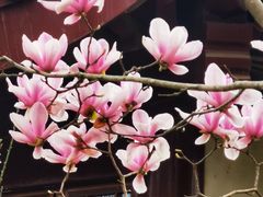 -堤角公园