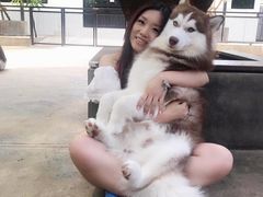 -TrueLove @ Neverland (Husky Cafe)
