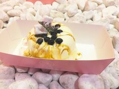 -狐狸和向日葵(北京路店)