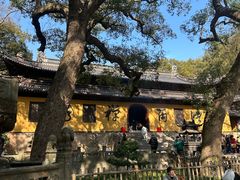 -枣子树·素食餐厅(普陀山店)