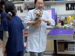 -谐和益家动物医院·免疫绝育·血液透析·宠保定点医院(高新伊藤分院)