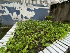 -余头饭店(金字牌市场监督管理所西)