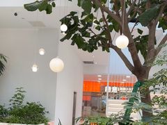 -大树餐厅(红旗街万达店)