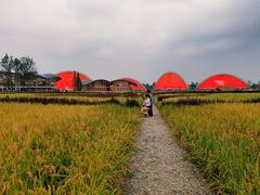 -中国天府农业博览园