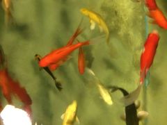 -洛阳龙门海洋馆