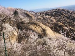 -北京凤凰岭