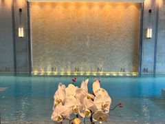 -成都尼依格罗酒店