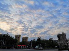 -茶百道(友好店)