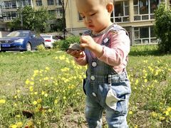 -长春公园(普阳街道)