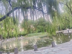 -玲珑塔公园