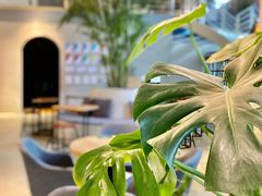 -GOTLOT COFFEE&KITCHEN角落厨房NOOK店