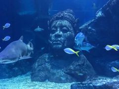 -暹罗海洋世界
