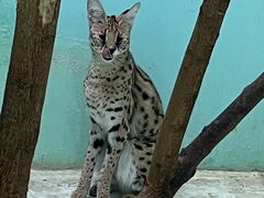 -北京野生动物园