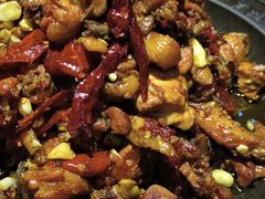 -天山醉美辣子鸡(文艺路店)