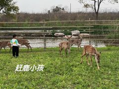 -上海都市菜园