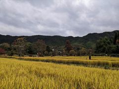 -塔川景区