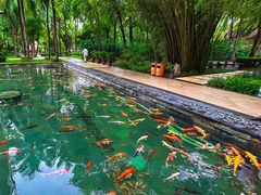 -三亚湾海居铂尔曼度假酒店