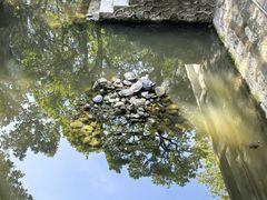 -南岳衡山风景名胜区-南岳大庙