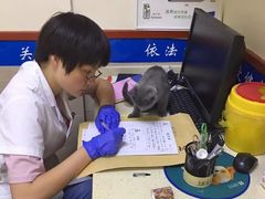 -艾贝尔宠物医院·狂犬免疫点(江山金象城店)