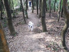 -东钱湖旅游度假区