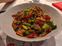 -壹盏灯(惠农店)