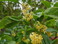 -狼山风景名胜区