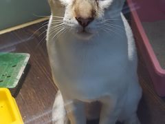 -乐宠宠物店(世纪金源店)